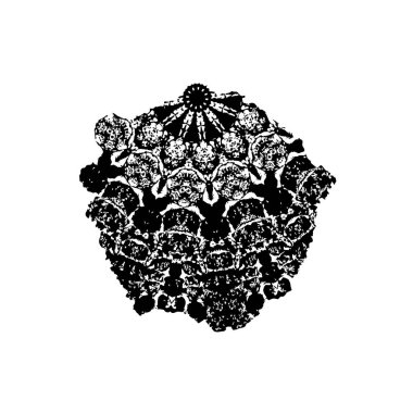 Siyah beyaz desenli, lekeli, çizikli ve çizgili sıkıntılı bir arka plan. Soyut vektör illüstrasyonu. 