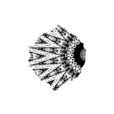 Soyut tek renkli arkaplan. Siyah ve beyaz vektör çizimi