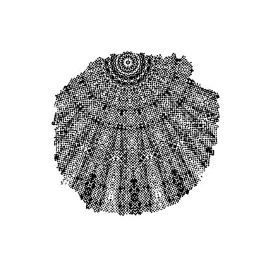 Soyut tek renkli arkaplan. Siyah ve beyaz vektör çizimi