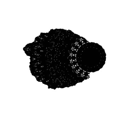 siyah ve beyaz monokrom arkaplan soyut doku 