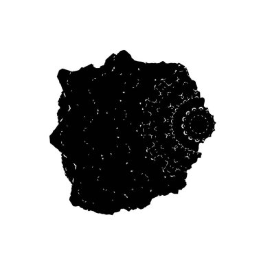 siyah fırça darbesi ve doku. monokrom grunge soyut el - boyalı elementler . 