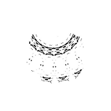 siyah fırça darbesi ve doku. monokrom grunge soyut el - boyalı elementler . 