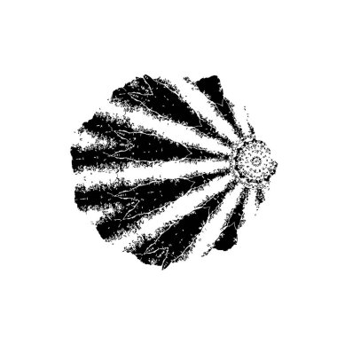 vektör eli çizilmiş mürekkep fırçası darbesi beyaz arkaplanda izole