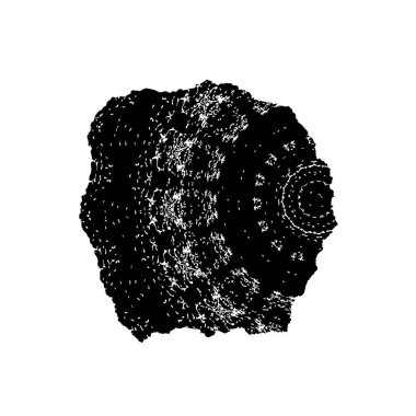 vektör eli çizilmiş mürekkep fırçası darbesi beyaz arkaplanda izole