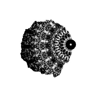 vektör eli çizilmiş mürekkep fırçası darbesi beyaz arkaplanda izole