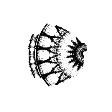 vektör eli çizilmiş mürekkep fırçası darbesi beyaz arkaplanda izole