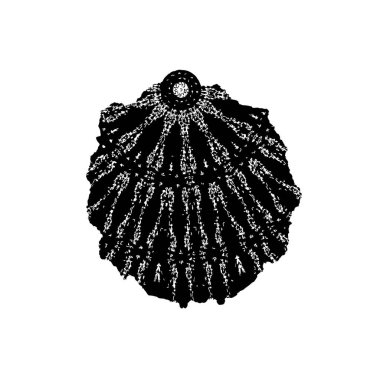 grunge siyah fırça darbesi beyaz arkaplanda izole