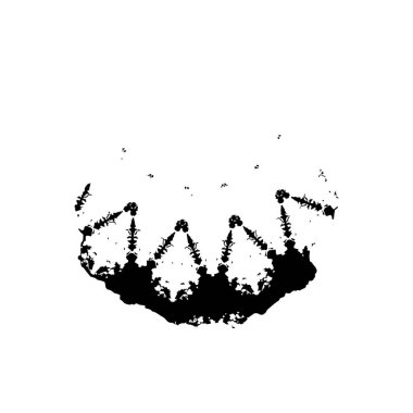 grunge siyah fırça darbesi beyaz arkaplanda izole