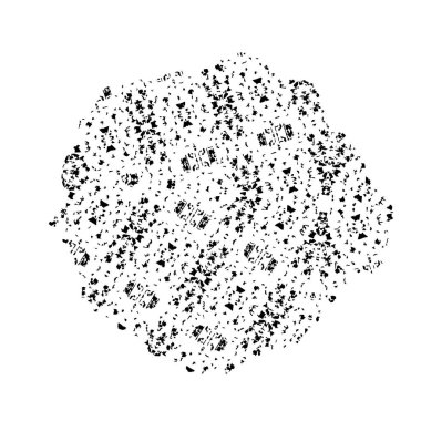 grunge siyah fırça darbesi beyaz arkaplanda izole