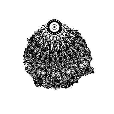 grunge siyah fırça darbesi beyaz arkaplanda izole