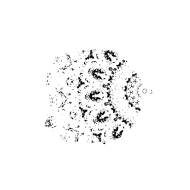 Grunge siyah fırça darbesi