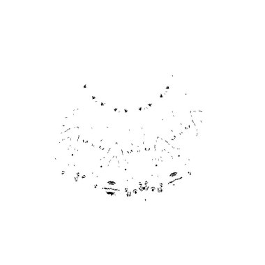 Grunge siyah fırça darbesi