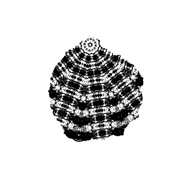 siyah ve beyaz grunge arkaplan dokusu 