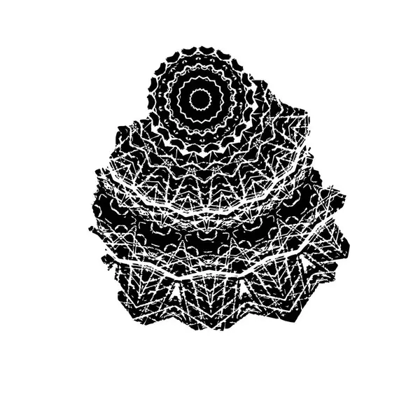 grunge siyah fırça darbesi beyaz arkaplanda izole