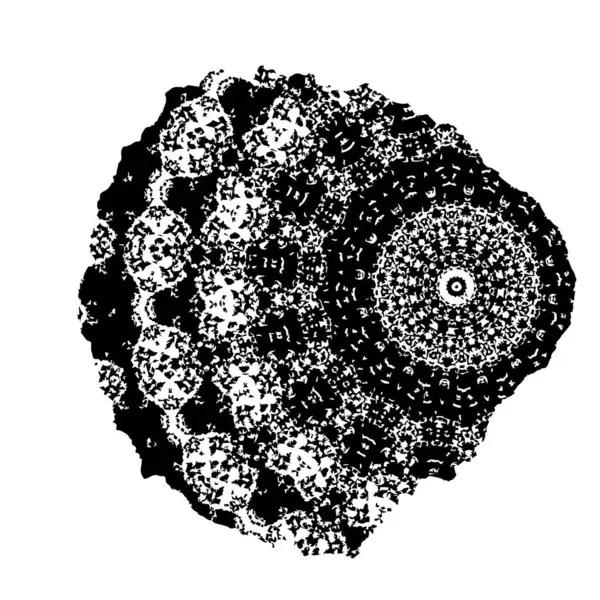 siyah fırça darbesi ve doku. Soyut el - boyanmış elementler.