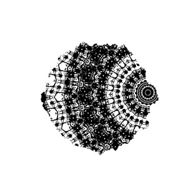  grunge vektörü siyah fırça darbesi 