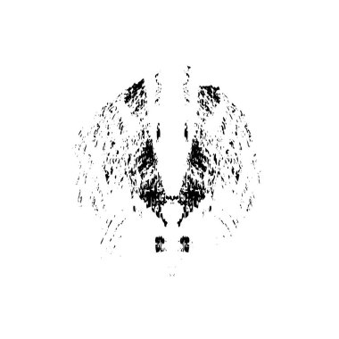  grunge vektörü siyah fırça darbesi 