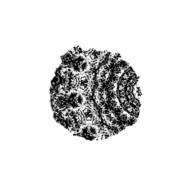  grunge vektörü siyah fırça darbesi 