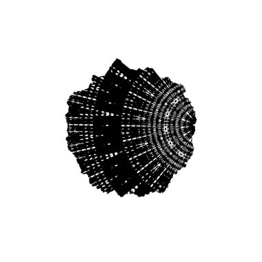 siyah mürekkep fırçası vuruşu. vektör