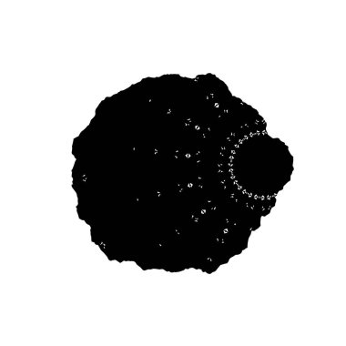 siyah mürekkep fırçası vuruşu. vektör