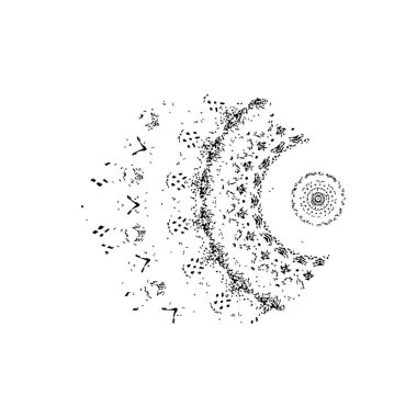 siyah mürekkep fırçası vuruşu. vektör