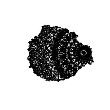 siyah fırça darbesi ve dokusu.