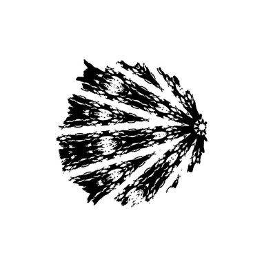 Beyaz arka planda siyah mürekkep fırça sıyrık.
