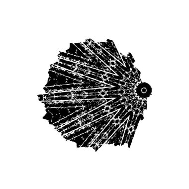 Beyaz arka planda siyah mürekkep fırça sıyrık.