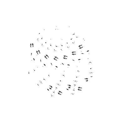 Beyaz arka planda siyah mürekkep fırça sıyrık.