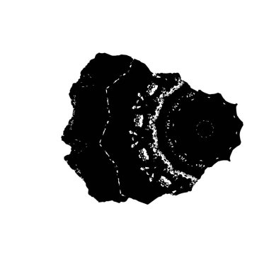 Siyah ve beyaz dokular. monokrom grunge soyut el - boyalı elementler . 