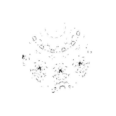 Siyah ve beyaz dokular. monokrom grunge soyut el - boyalı elementler . 