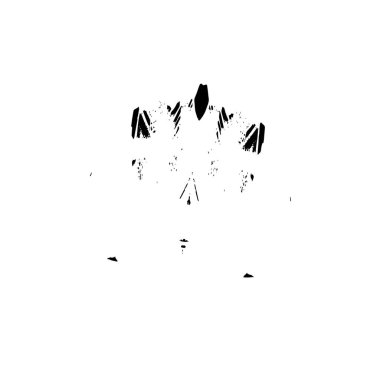 Grunge dokusu. Soyut siyah beyaz arka plan. Tek renkli vintage yüzey        