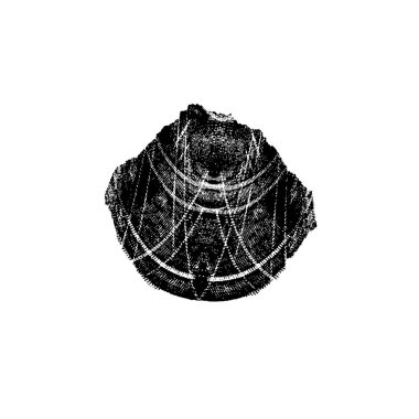 Grunge dokusu. Soyut siyah beyaz arka plan. Tek renkli vintage yüzey        