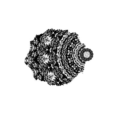 soyut siyah ve beyaz grunge şablonu, vektör illüstrasyonu