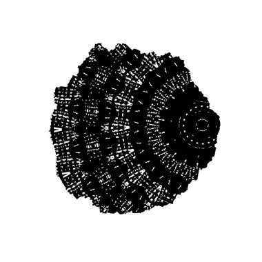 siyah ve beyaz monokrom arkaplan soyut doku 