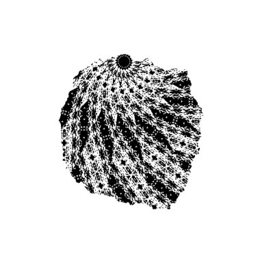 siyah ve beyaz monokrom arkaplan soyut doku 