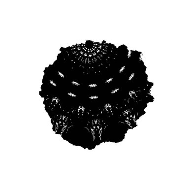 soyut siyah ve beyaz desenli arkaplan 