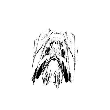 siyah fırça darbesi ve doku. monokrom grunge soyut el - boyalı elementler. 