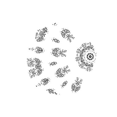 siyah fırça darbesi ve doku. monokrom grunge soyut el - boyalı elementler. 
