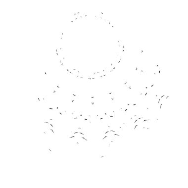 siyah fırça darbesi ve doku. monokrom grunge soyut el - boyalı elementler. 