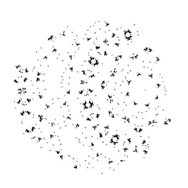 siyah fırça darbesi ve doku. monokrom grunge soyut el - boyalı elementler. 