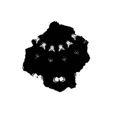 siyah fırça darbesi ve doku. monokrom grunge soyut el - boyalı elementler. 