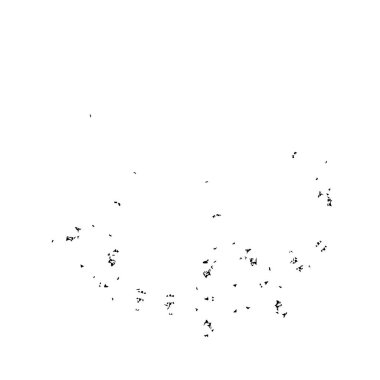 siyah fırça darbesi ve doku. monokrom grunge soyut el - boyalı elementler. 