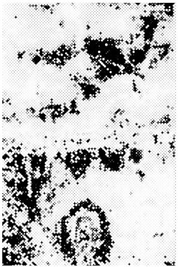 siyah ve beyaz monokrom arkaplan soyut doku 