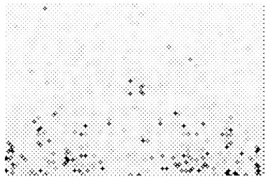 siyah ve beyaz grunge arka plan. soyut illüstrasyon