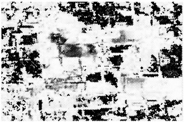 Siyah beyaz desenli, soyut arkaplan, kopyalama alanı