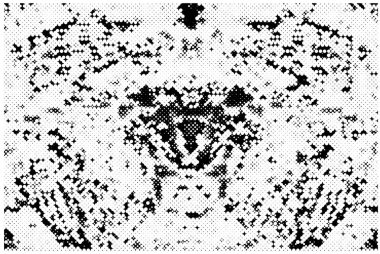 soyut siyah ve beyaz grunge arkaplan, vektör illüstrasyonu