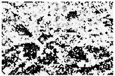 Çizik ve çiziklerle dolu akromatik arkaplan dokusu. soyut vektör illüstrasyonu.