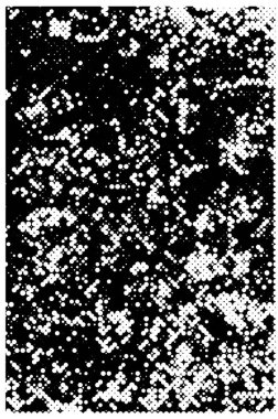 Siyah beyaz desenli, soyut arkaplan, kopyalama alanı