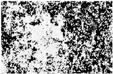 soyut siyah ve beyaz grunge arkaplanı